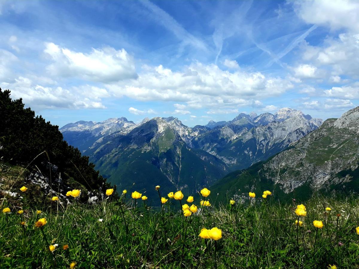 Socaland Apartmaji 외부 사진